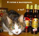 38 =)