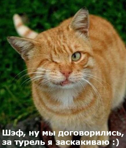 52 =)