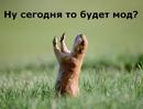 68 =)