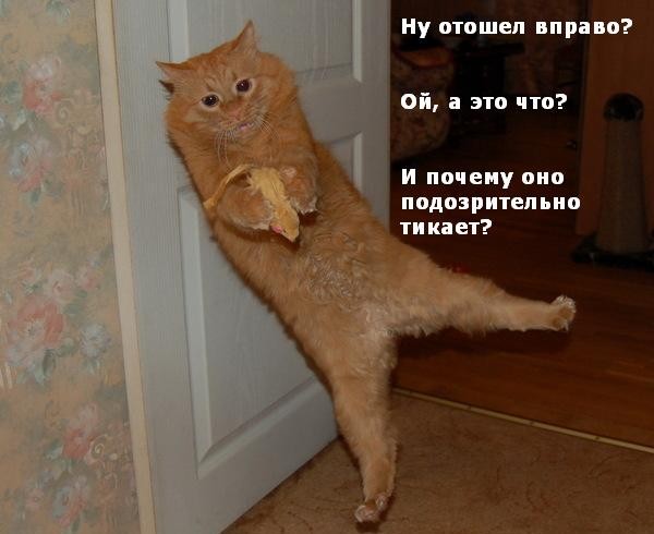 83 =)