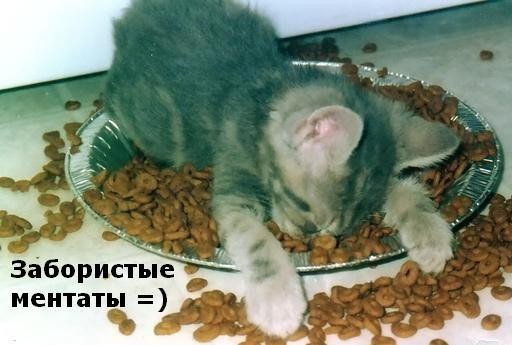 120 =)