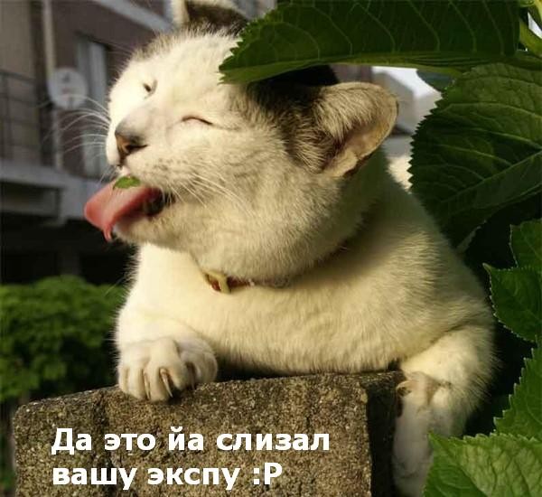 125 =)