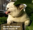 125 =)