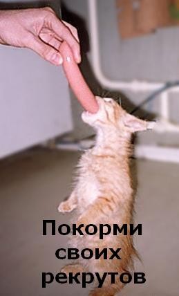 135 =)