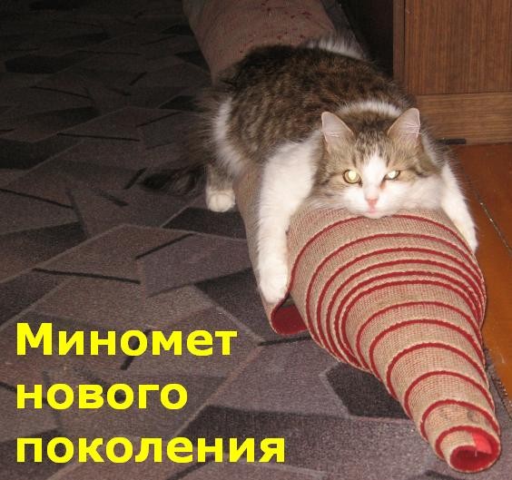 145 =)