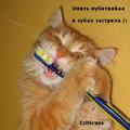 187 =)