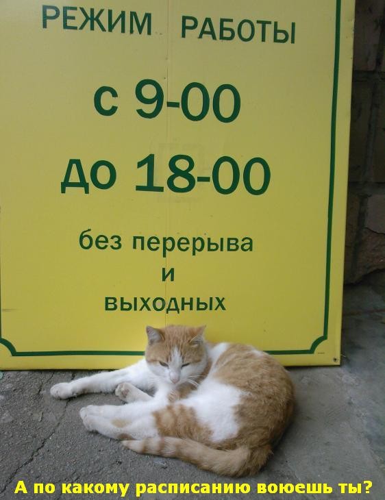 199 =)