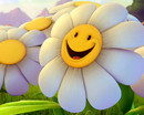 sunshine =)