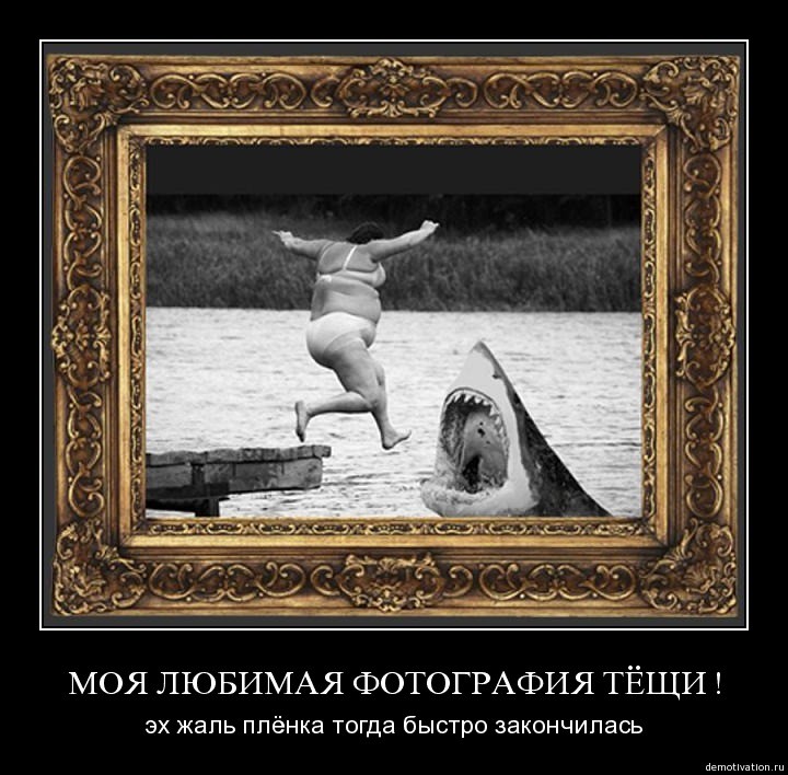 ���������� #1378540