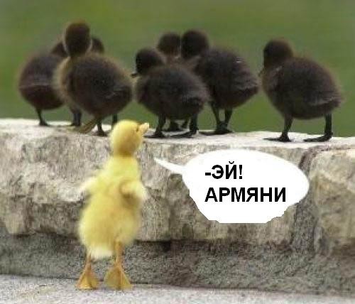 ���������� #1382741