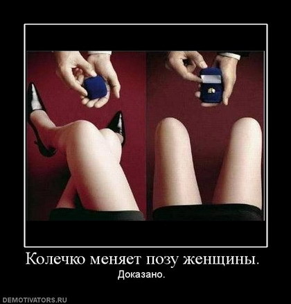 ���������� #1383506