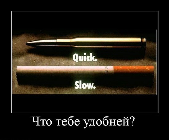 ���������� #1380533