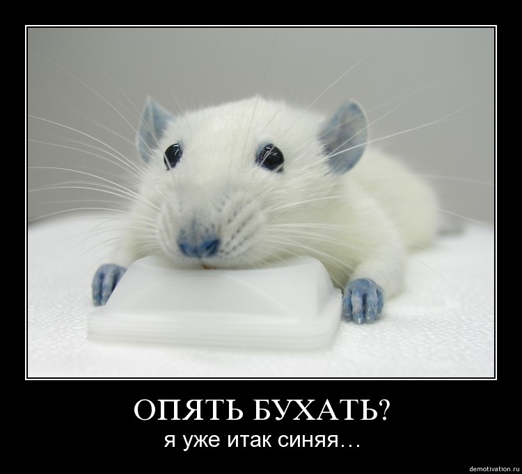 ���������� #1394319