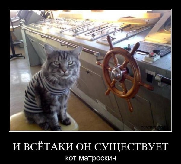 ���������� #1394325