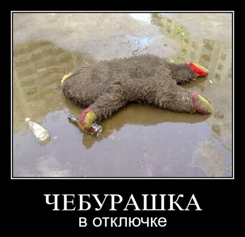 ���������� #1394330