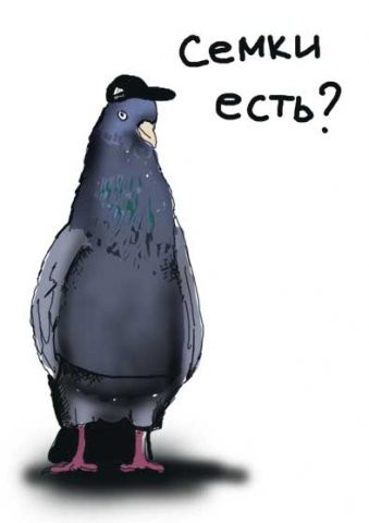 ���������� #1398210