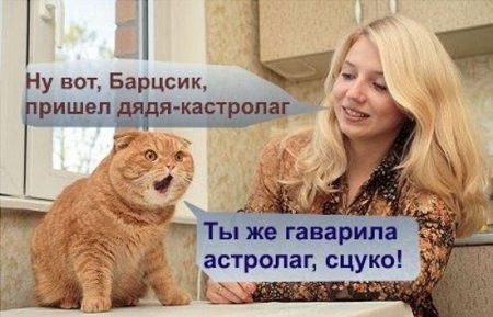 ���������� #1046744