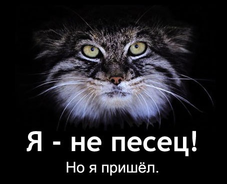 ����� :)