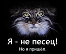 ����� :)