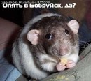�����? :(