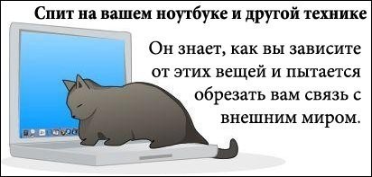 08 =)