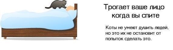 10 =)