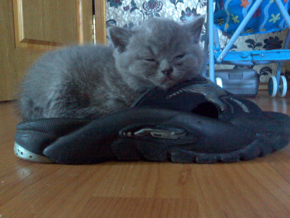 ���������� ������...