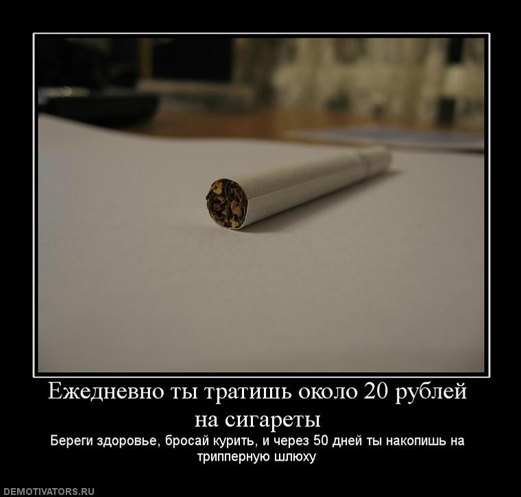 ���������� #1453010
