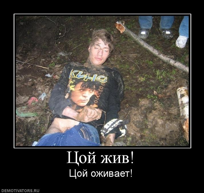 ���������� #1453013