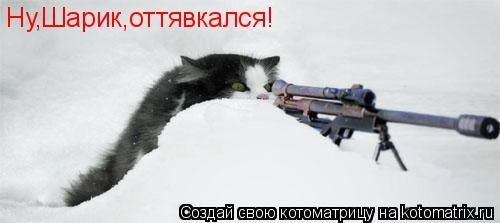 ���������� #1459398