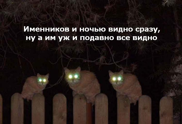 243 =)