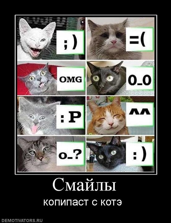���������� #1485749