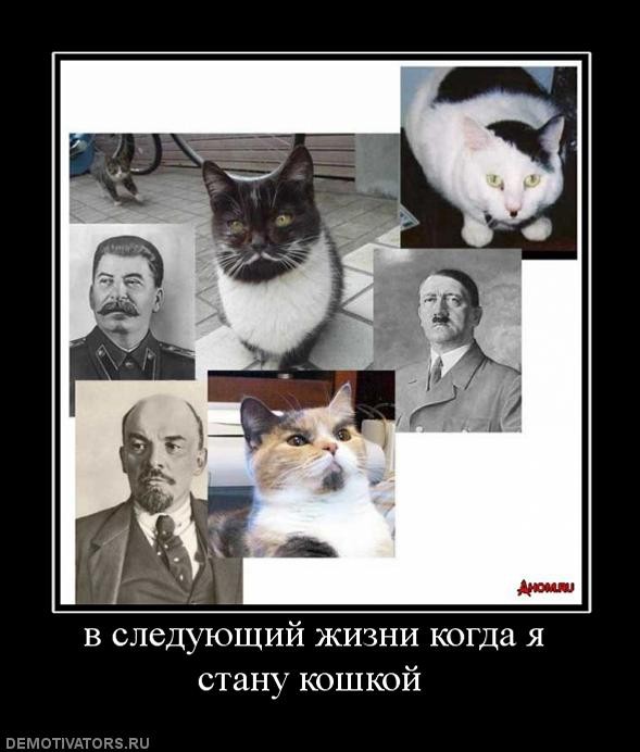 ���������� #1485830
