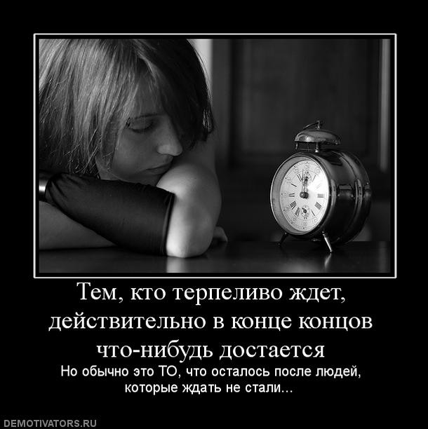 ���������� #1485892