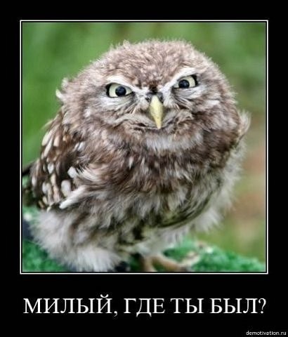 �������...�� ������ �� ������...