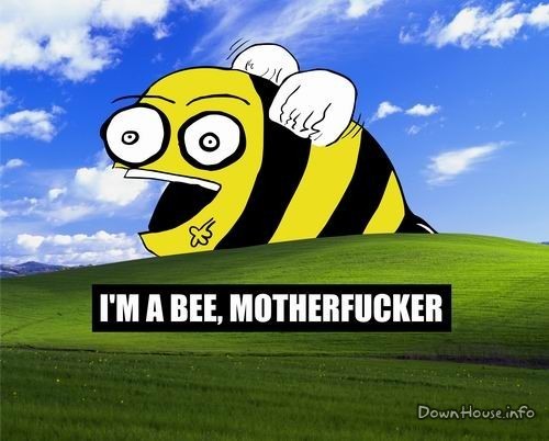 ���������� #1489057