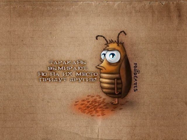���������� #1509413