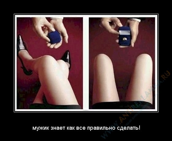 ���������� #1518881