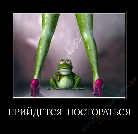 ���������� #1519336