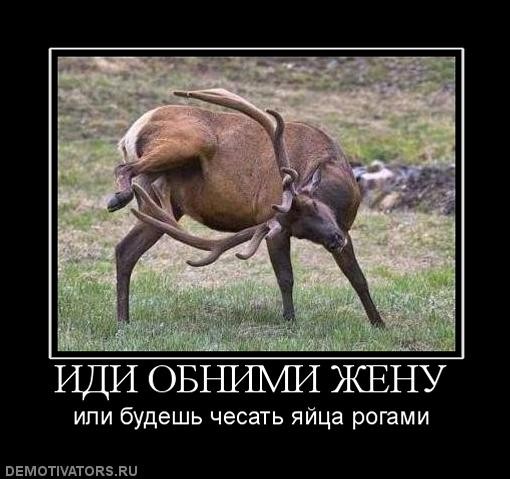 ������ ����!