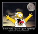 ���������� #1527973