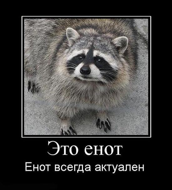 ���������� #1527980
