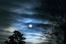 God's Eye