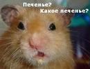 �������� =)