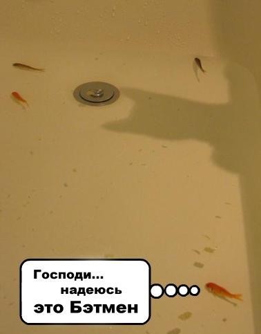 ���� � ��� �������� =)
