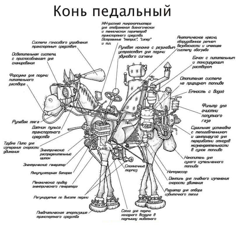���� ��������� =)))