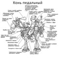 ���� ��������� =)))