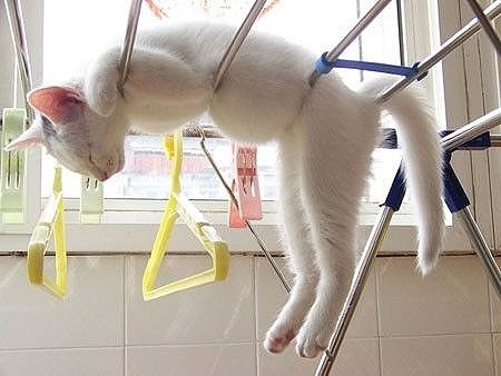 ���� � ��� ��� =)