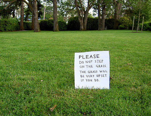 grass =)