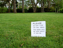 grass =)